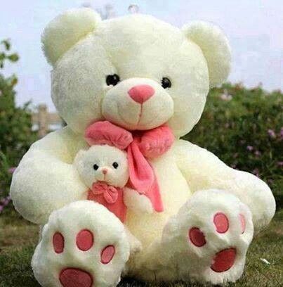Pink Teddy