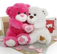 Pink Teddy